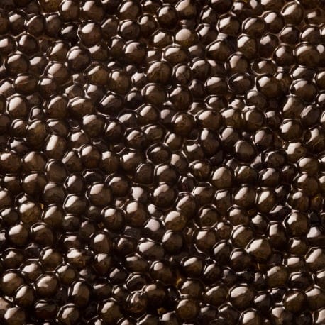 caviar-oscietre-prestige2